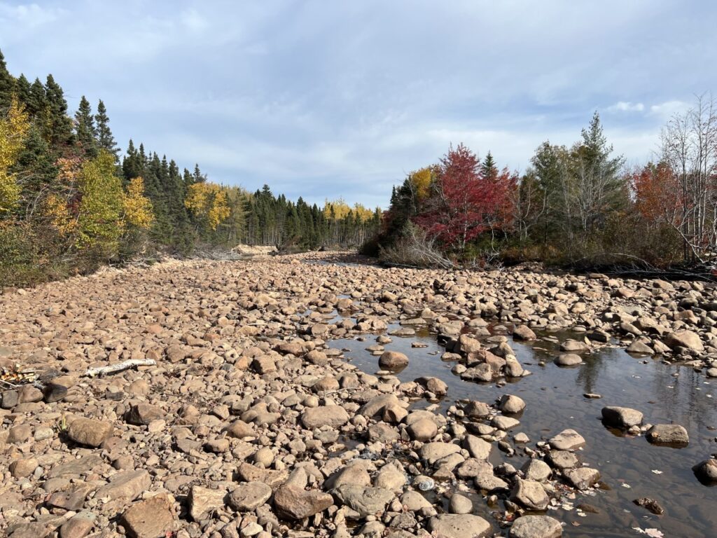 Gander River with water levels low
