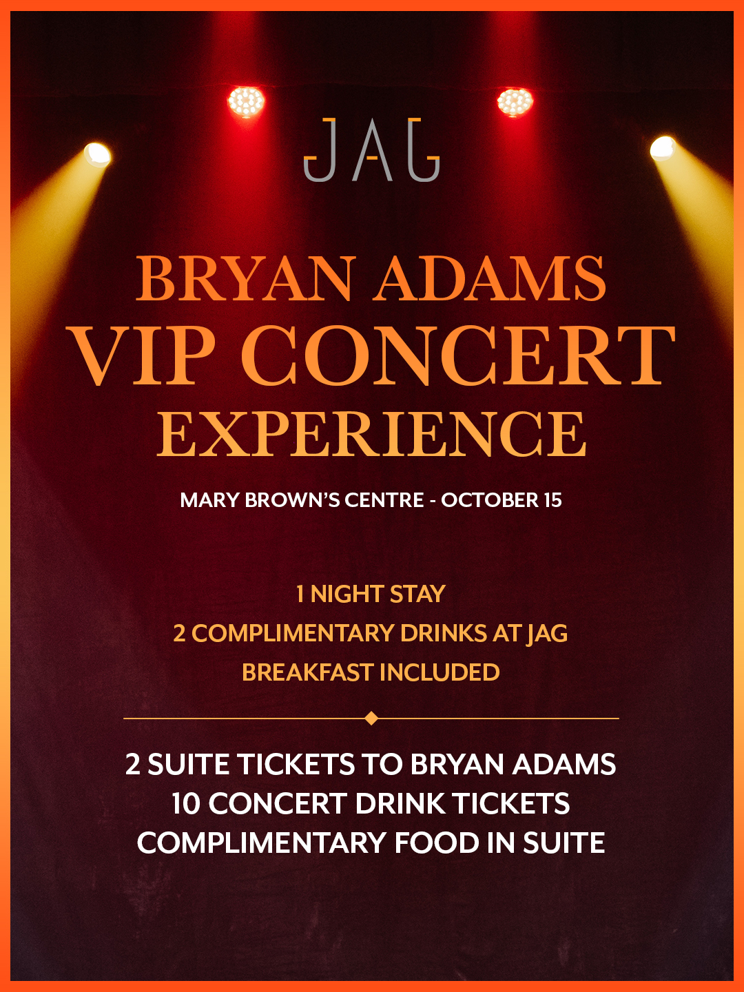 Bryan Adams VIP Concert Experience