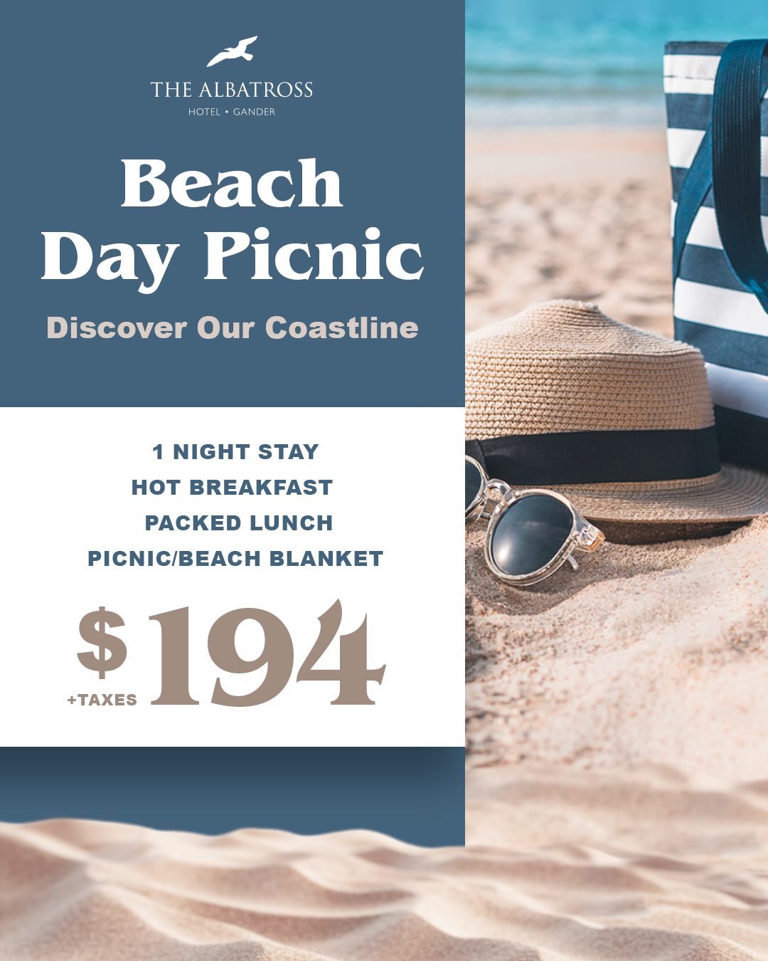 Picnic on the Beach